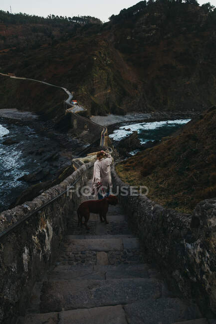 Vue arrière à angle élevé d'une femelle méconnaissable en vêtements décontractés avec un grand chien brun debout sur un vieux pont de pierre contre une pente rocheuse de montagne en Espagne — Photo de stock