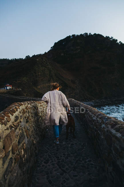 Alto angolo posteriore vista della femmina irriconoscibile in abiti casual con grande cane marrone in piedi su vecchio ponte di pietra contro pendio roccioso di montagna in Spagna — Foto stock