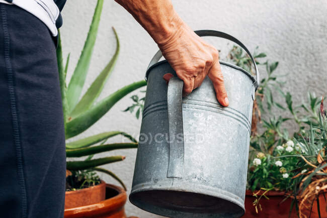 Неузнаваемая пожилая женщина поливает декоративные растения и цветы во время садоводства на балконе — стоковое фото