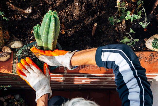 Giardiniere femminile senza volto prendersi cura di piante in giardino — Foto stock
