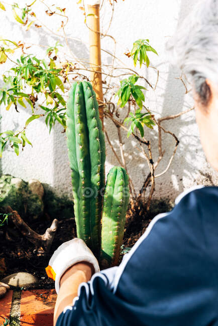 Gesichtslose Gärtnerin kümmert sich um Pflanzen im Garten — Stockfoto