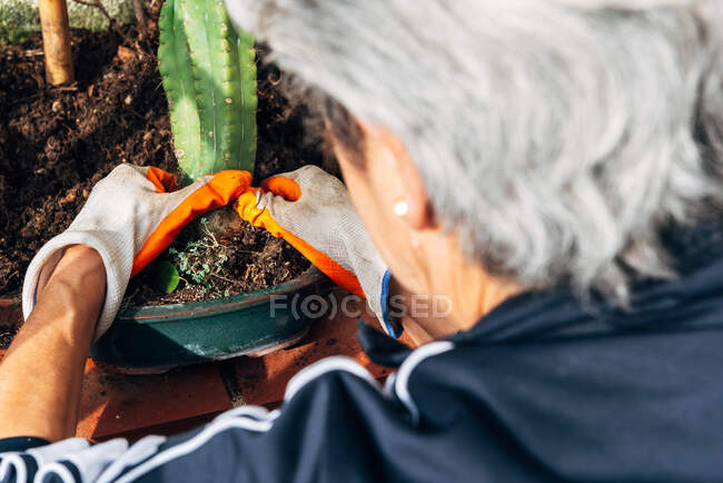 Jardinière sans visage qui se soucie des plantes dans le jardin — Photo de stock