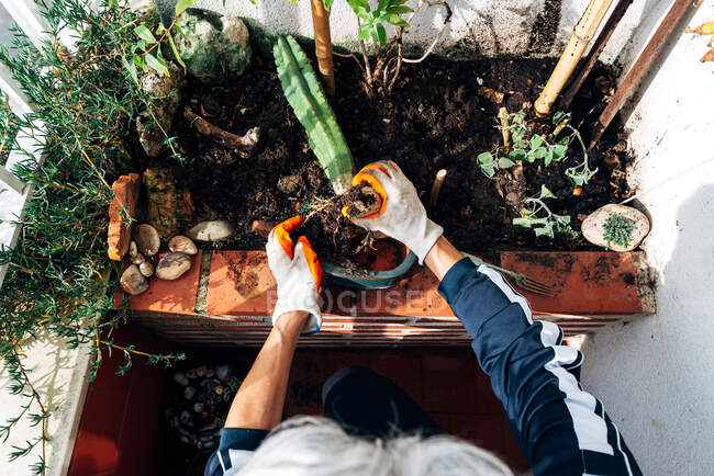 Jardinero femenino sin rostro que se preocupa por las plantas en el jardín - foto de stock