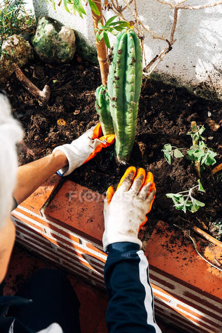 Jardinière sans visage qui se soucie des plantes dans le jardin — Photo de stock