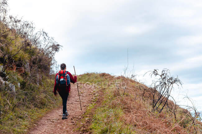 Back view of tourist with backpack and stick looking away and admiring picturesque scenery while hiking on hill road under cloudy sky in Spain — Stock Photo