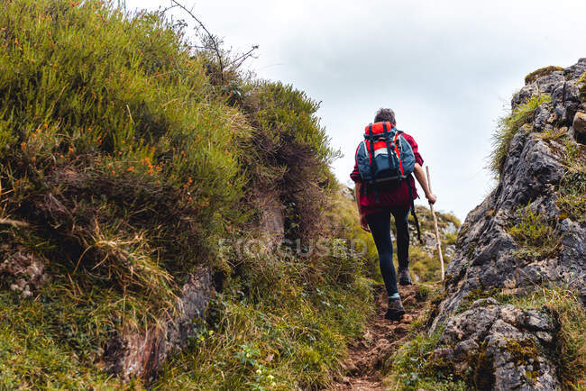 Visão traseira do turista com mochila e vara olhando para longe e admirando paisagens pitorescas enquanto caminhadas na estrada colina sob céu nublado na Espanha — Fotografia de Stock