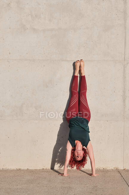 Fêmea de pés descalços magro com cabelo vermelho em sportswear de cabeça para baixo em postura de cão virada para baixo apoiando-se na parede de concreto enquanto treina sozinho na rua — Fotografia de Stock