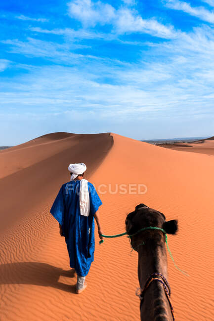 Back view of man in traditional Arabian wear leading camel by bridle walking on sandy dune against bright blue sky — Stock Photo