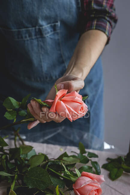 Невпізнавана жінка-професійний флорист робить букети різних типів. Троянди. Жовті квіти. Кови. — стокове фото