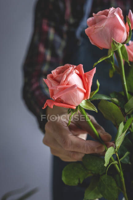 Невпізнаваний жіночий професійний флорист робить букети різних типів. Троянди. Жовті квіти. буксирів — стокове фото