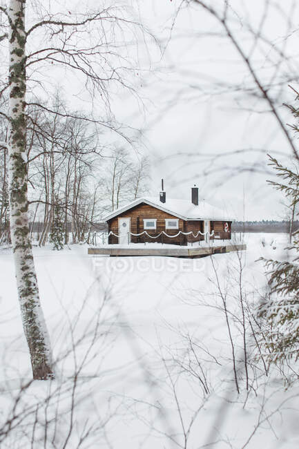 Paisaje invernal tranquilo con casa rural de madera situada en un prado nevado entre bosque sin hojas en Laponia sueca - foto de stock