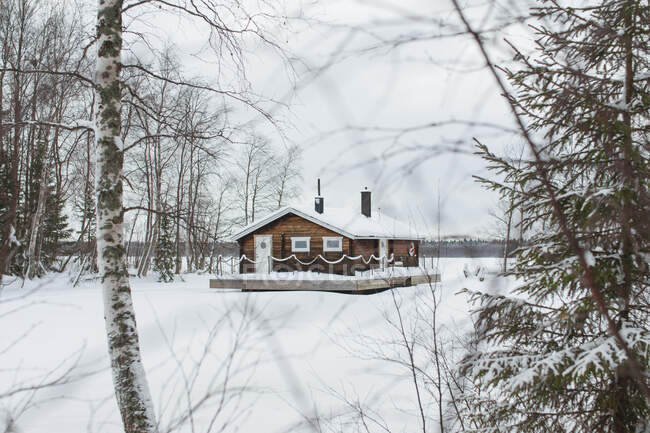 Сельский дом в заснеженном лесу — стоковое фото