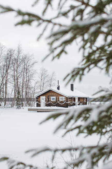 Casa rural en bosque nevado - foto de stock