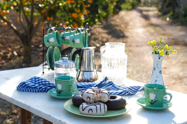 Picnic con delicioso postre y café aromático en el jardín - foto de stock