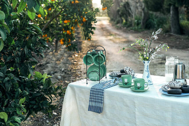 Пікнік з смачним десертом і ароматною кавою в саду — стокове фото