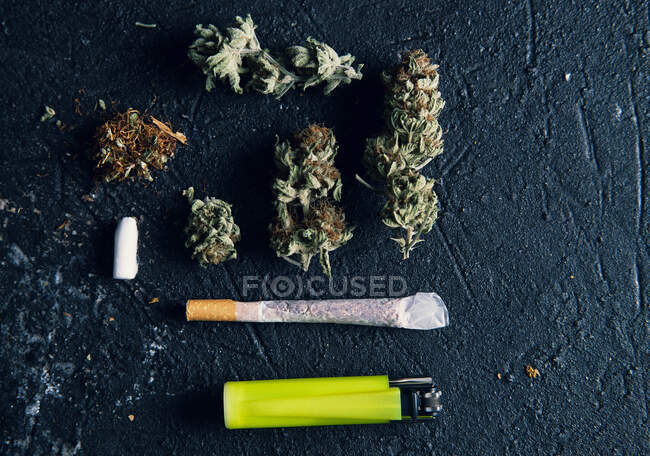 Brotes de marihuana y cigarrillos para hacer articulaciones - foto de stock