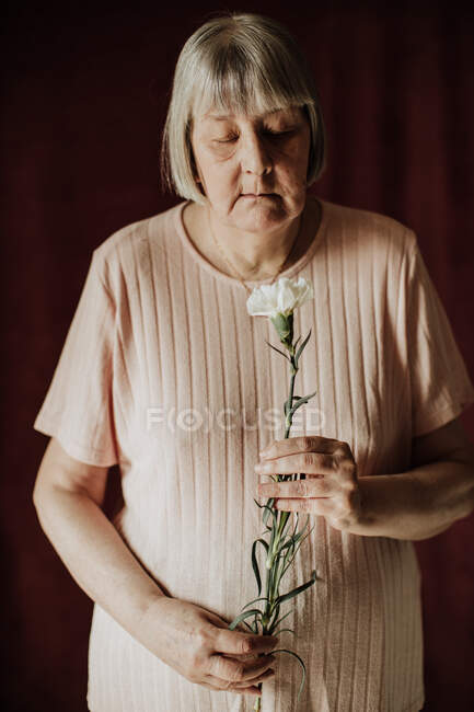 Зверху вдумлива стара жінка з сірим волоссям з закритими очима тримає букет білої гвоздики вдома — стокове фото