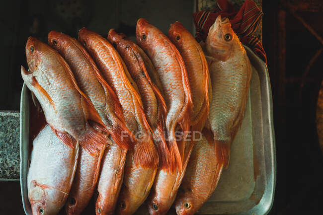 Вид сверху на сырую очищенную рыбу рядышком на шуршащей кухне — стоковое фото