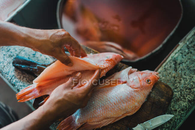 Из выше урожая анонимный повар моет свежую рыбу для приготовления ужина на кухне — стоковое фото