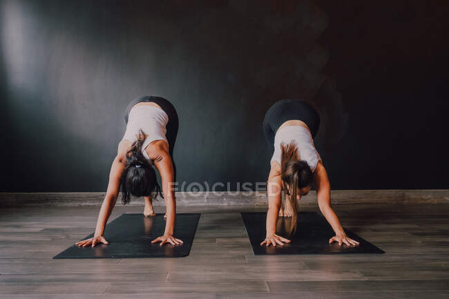 Fit barefoot unrecognizable women in sportswear concentrating and doing downward facing dog exercise on sports mats on wooden floor against white walls of spacious hall — Stock Photo