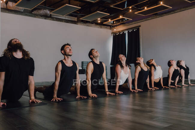 Side view of fit barefoot unrecognizable people in sportswear concentrating and doing upward facing dog exercise on sports mats on wooden floor against white walls of spacious hall — Stock Photo