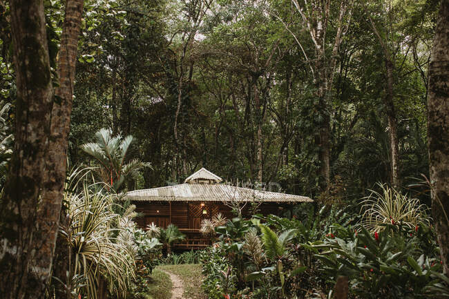 Kleines Holzhaus zur Erholung zwischen grünen, bunten exotischen Pflanzen und großen Bäumen an sonnigen Tagen — Stockfoto