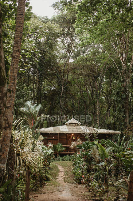 Small wooden building for recreation among green colorful exotic plants and big trees on sunny day — Stock Photo