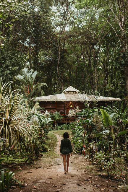 Обратный вид одинокой женщины, идущей по узкой тропинке между рядами зеленых тропических растений с домом во время отпуска — стоковое фото