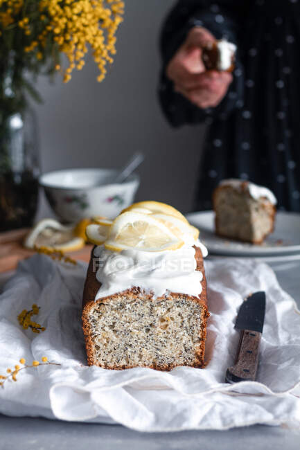 Deliziosa torta fatta in casa con limone e semi di papavero — Foto stock