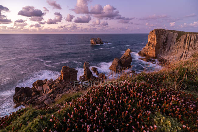 Desde arriba maravilloso paisaje con cielo púrpura y flores rosadas floreciendo en la costa rocosa de la Costa Brava - foto de stock
