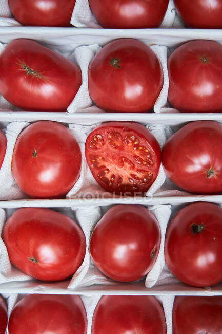 Vue du dessus de tomates rouges mûres juteuses disposées en boîte pour la vente sur le marché — Photo de stock
