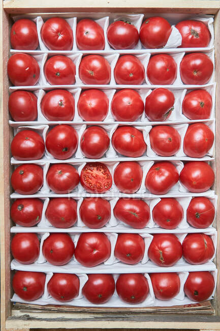 Draufsicht auf saftige reife rote Tomaten, die in einer Schachtel zum Verkauf auf dem Markt arrangiert sind — Stockfoto