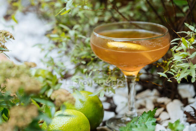 Refreshment glass of alcohol cocktail on table decorated with limes and plants — Stock Photo