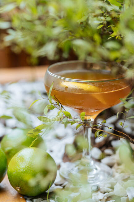 Erfrischungsglas mit Alkoholcocktail auf Tisch mit Limetten und Pflanzen — Stockfoto