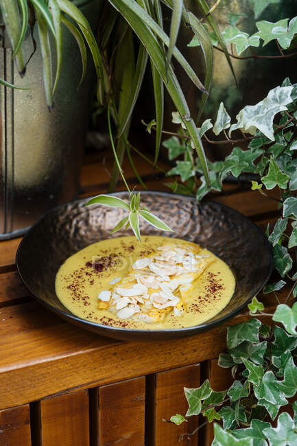 Сверху вкусное филе курицы с грибами в сырном соусе в миске, окруженной растениями и цветами — стоковое фото