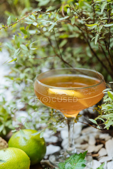 Refreshment glass of alcohol cocktail on table decorated with limes and plants — Stock Photo