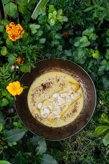 Вид на вкусное филе курицы с грибами в сырном соусе в миске в окружении растений и цветов — стоковое фото