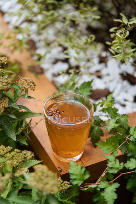 Зверху гарячі здорові трав'яні напої з зіркою анісу в скляній чашці на дерев'яній поверхні в саду — стокове фото