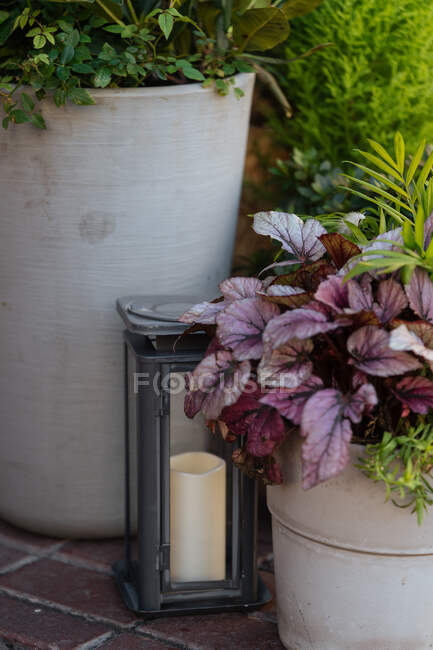 Suporte de vela cinza vintage com vela de cera dentro no jardim perto de canteiros de flores florescentes — Fotografia de Stock