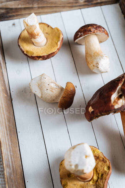 Зверху смачні ароматні лісові гриби з коричневою головою на дерев'яному столі в яскравий день — стокове фото