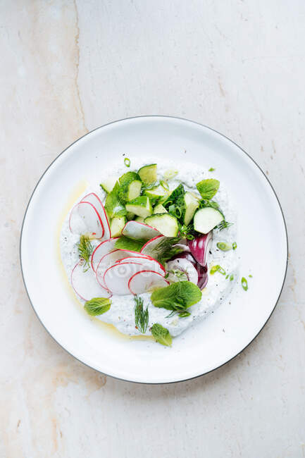 D'en haut salade fraîche de fines tranches de radis courgettes mûres oignon rouge et herbes avec crème sure dans une assiette blanche sur la table — Photo de stock