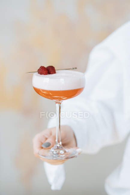 Serveur anonyme en chemise blanche tenant un délicieux cocktail rouge dans un verre élégant décoré de framboises fraîches — Photo de stock