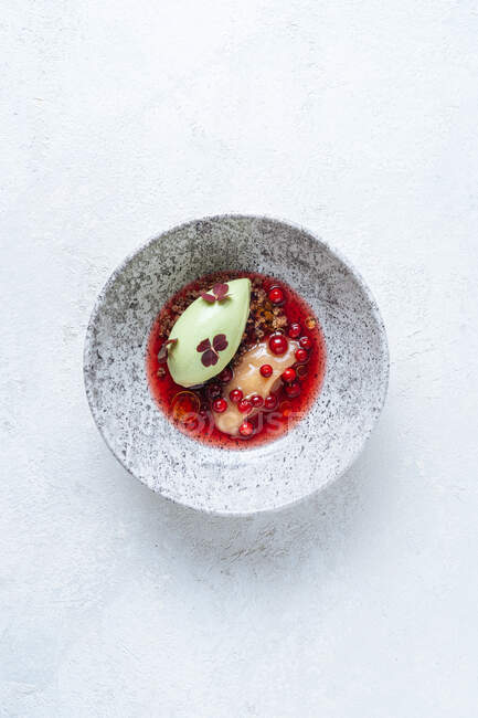 Stilvolles Gericht der Haute Cuisine mit roten Johannisbeeren — Stockfoto