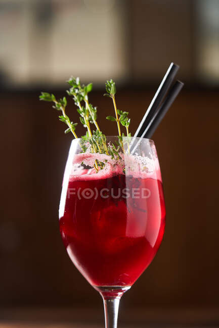 Stylish served alcohol cocktail with rosemary — Stock Photo