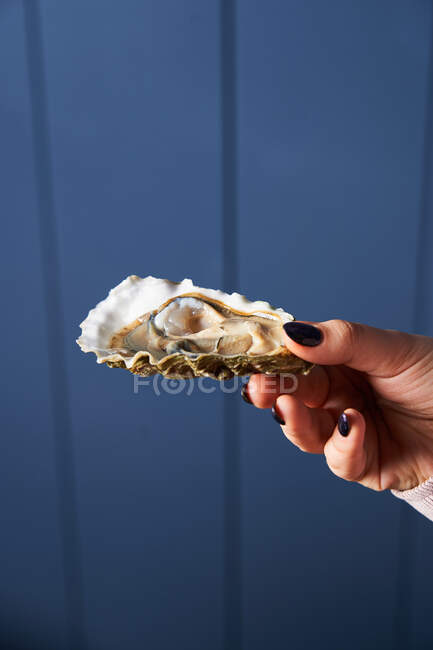 Anonymous woman showing oyster — Stock Photo