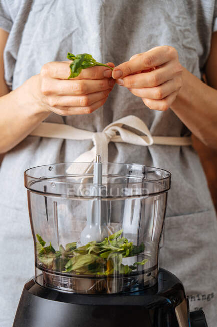 Anonyme femelle dans le tablier mettre des feuilles d'épinards frais dans le mélangeur tout en préparant un plat végétalien sain à la maison — Photo de stock