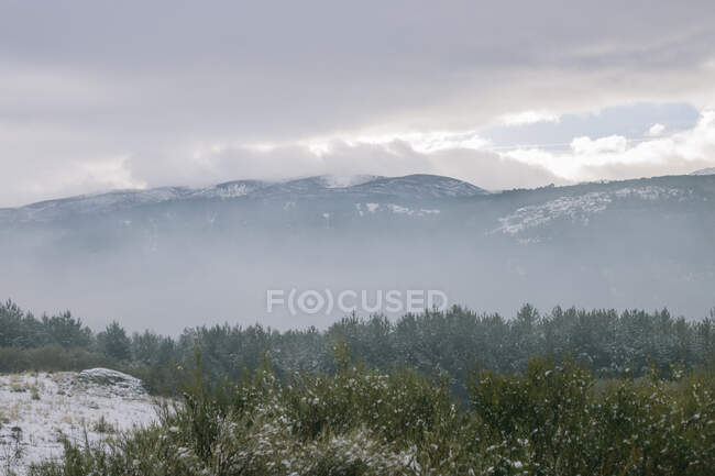 Desde lo alto de los árboles de colores en la pendiente de la colina con montañas nevadas y el cielo en el fondo - foto de stock