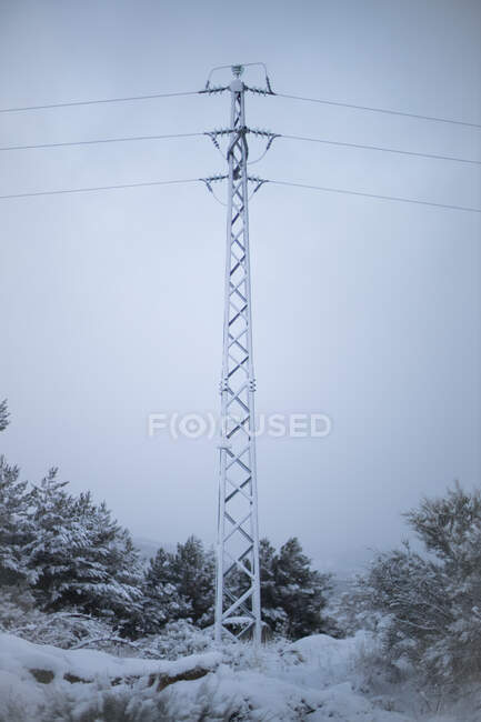 Baixo ângulo de suporte de linha de energia de metal alto entre pinheiros nevados com céu cinza claro no fundo — Fotografia de Stock