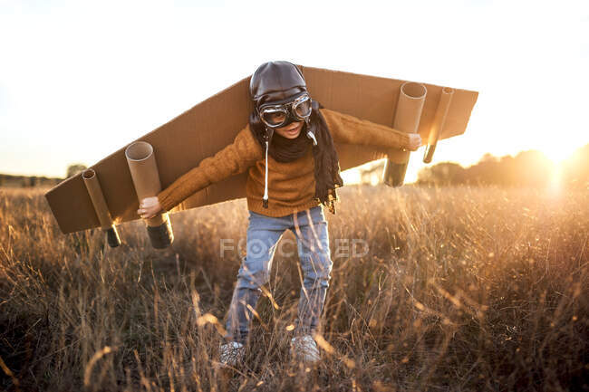 Glückliches Kind mit Brille und Pappflügeln, das bei einem Spiel auf dem Feld im Gegenlicht die Hände hebt — Stockfoto