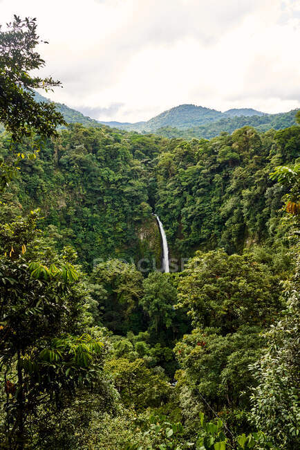 Потужний потік води, що падає з зеленої скелі в дивовижних джунглях у хмарний літній день у Коста - Риці. — стокове фото